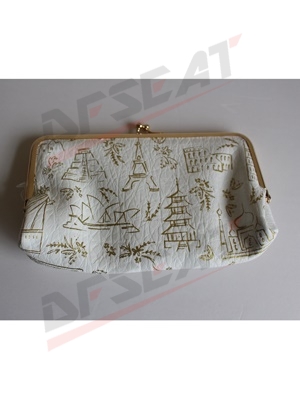 lady"s clutch bag